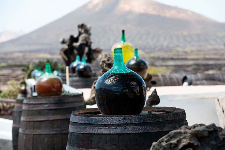 Viñedos en las tierras volcánicas de Lanzarote